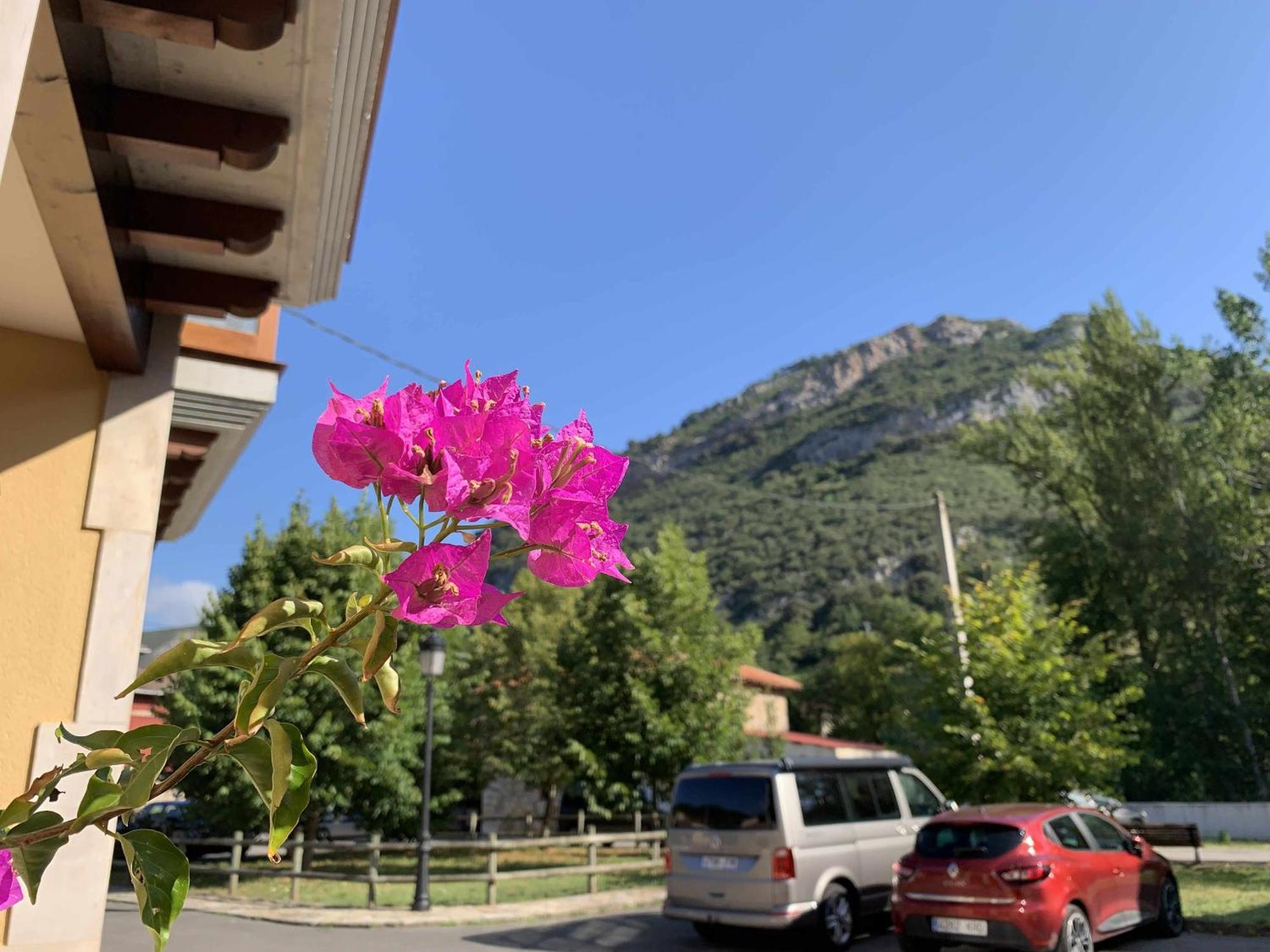 Cumbres De Los Picos Apartamento Los Abedules Poo  外观 照片